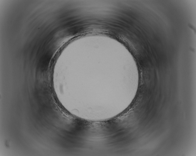 X0000098110828200804251426