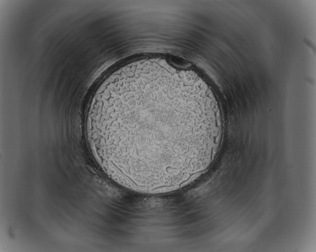 X0000098110829200804251426