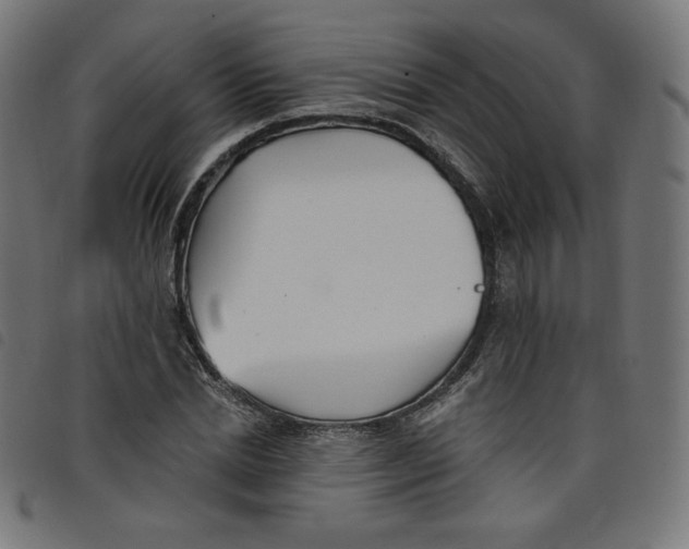 X0000098110830200804251426