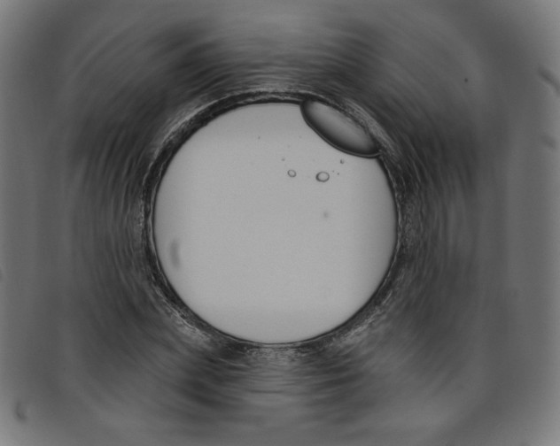 X0000098110831200804251426