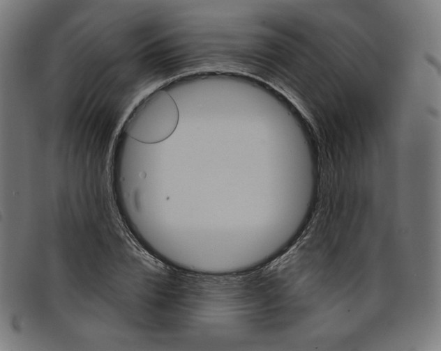 X0000098110832200804251426