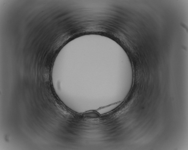 X0000098110833200804251426