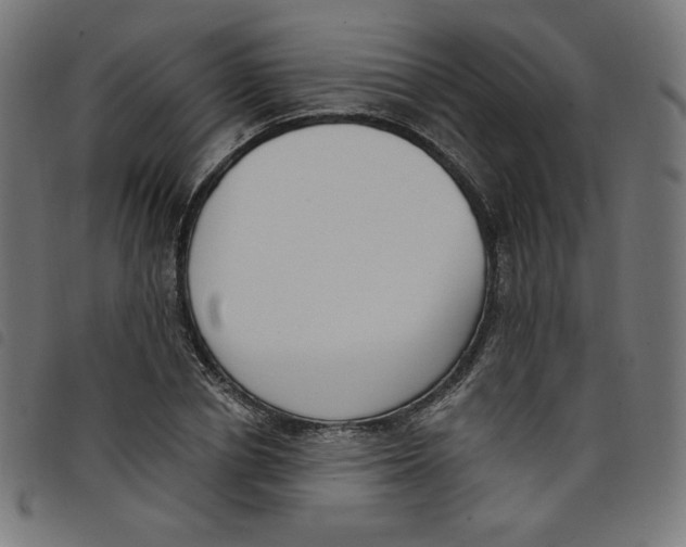 X0000098110834200804251426