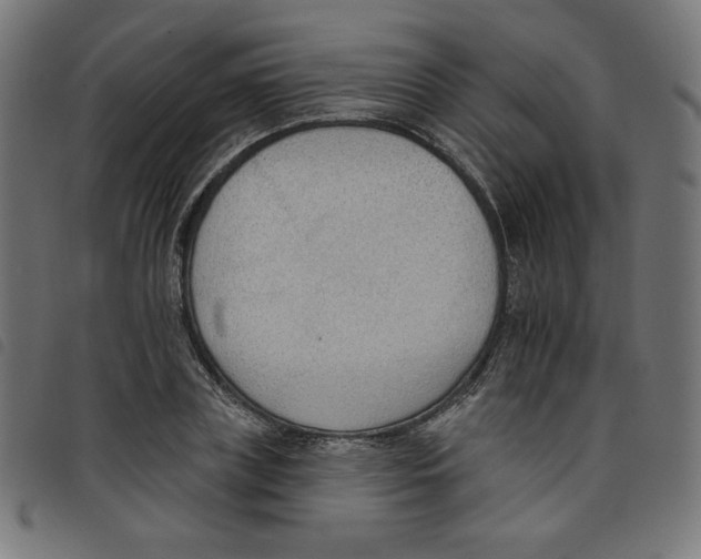 X0000098110835200804251426