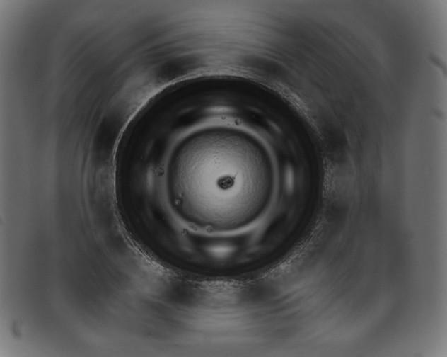 X0000098110836200804251426