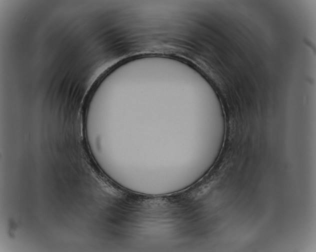 X0000098110838200804251426