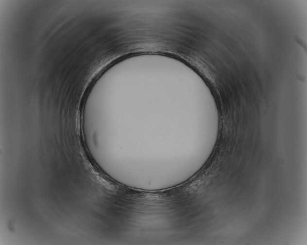 X0000098110839200804251426