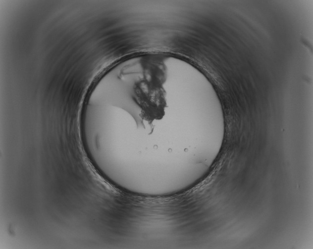 X0000098110840200804251426