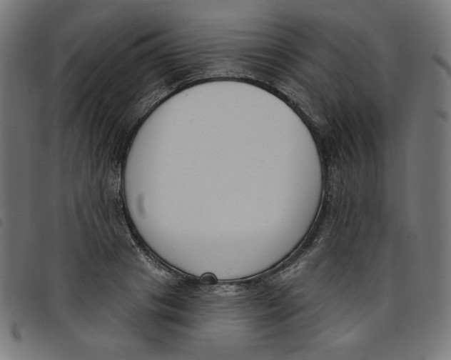 X0000098110841200804251426