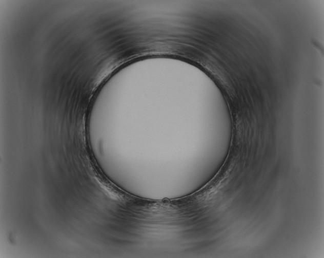 X0000098110842200804251426