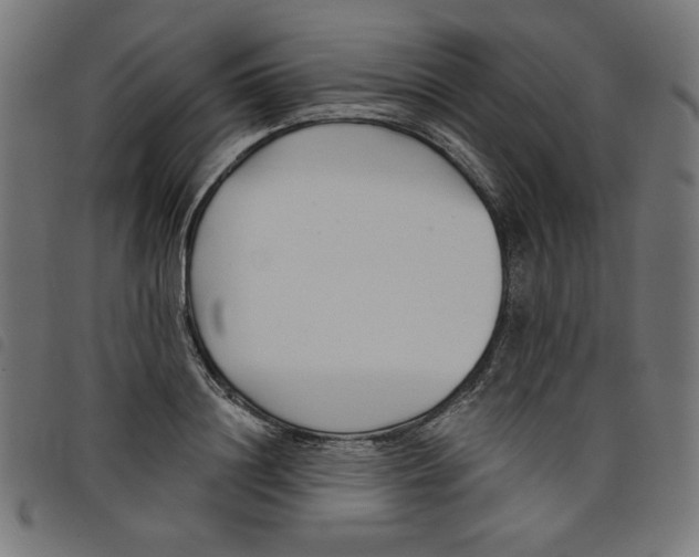 X0000098110844200804251426