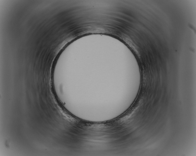 X0000098110845200804251426