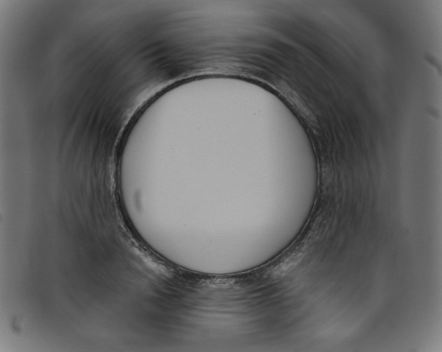 X0000098110846200804251426