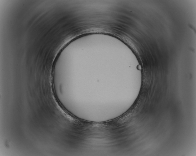 X0000098110847200804251426