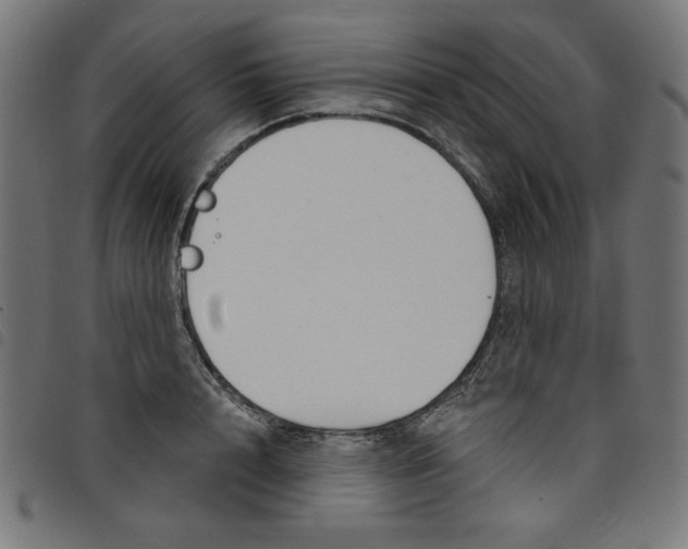 X0000098110848200804251426