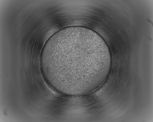 X0000098110850200804251426