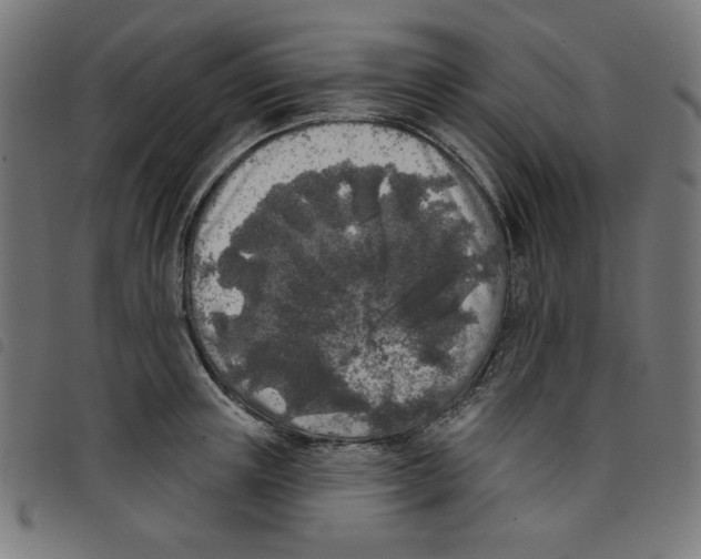 X0000098110851200804251426