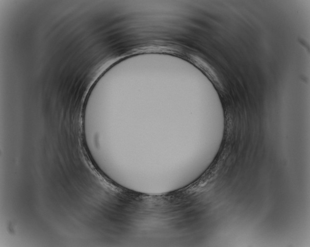 X0000098110852200804251426