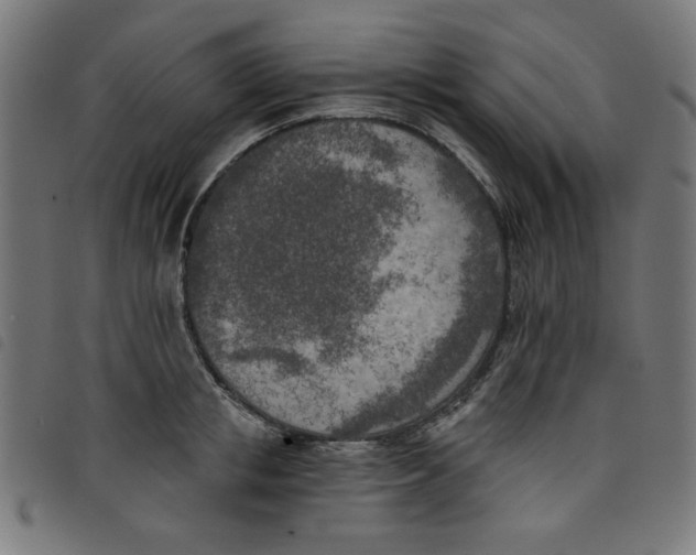 X0000098110853200804251426