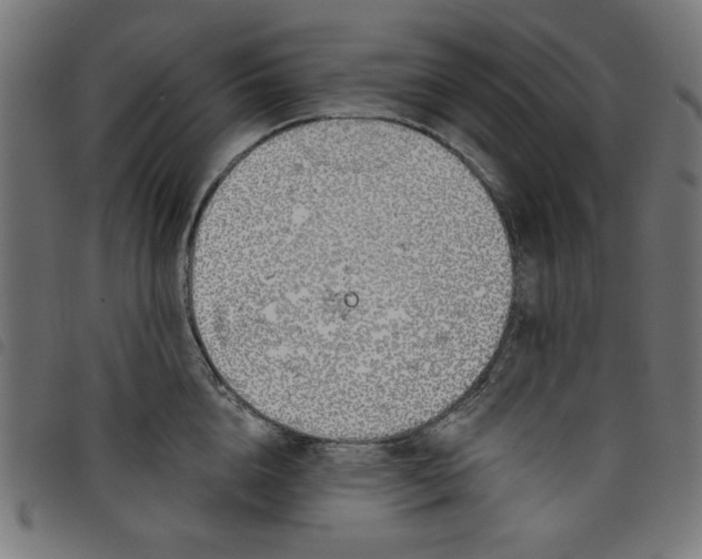 X0000098110856200804251426