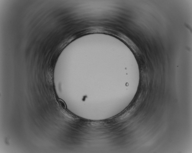 X0000098110857200804251426