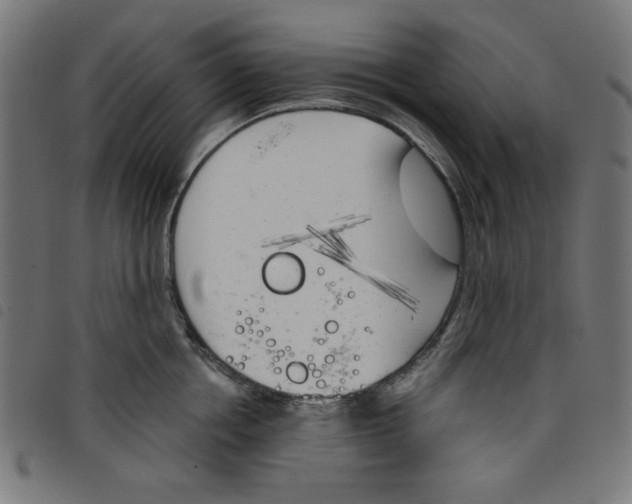 X0000098110858200804251426