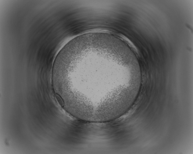 X0000098110860200804251426