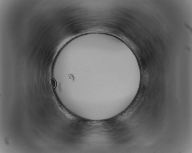 X0000098110862200804251426