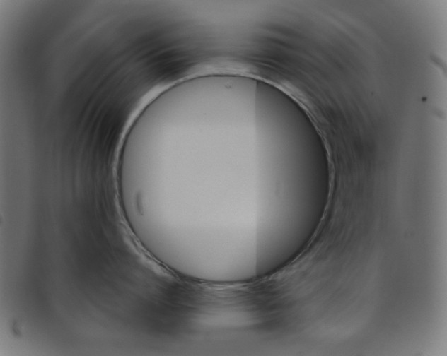 X0000098110864200804251426