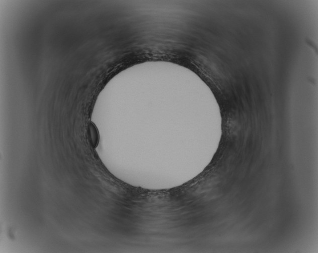 X0000098110865200804251425