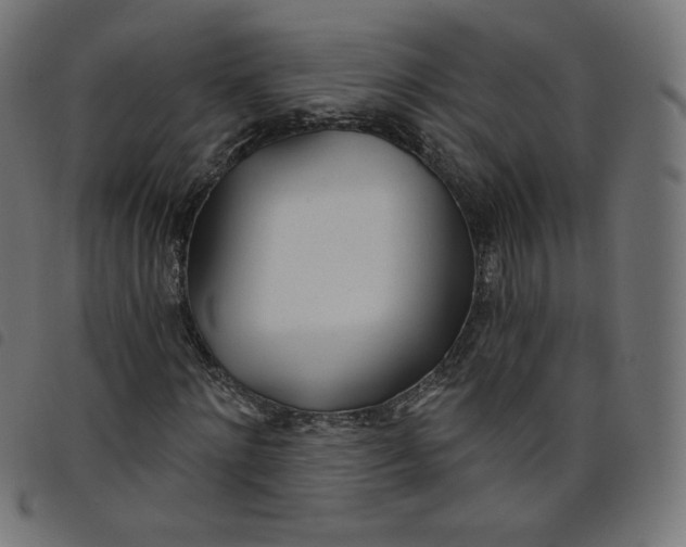 X0000098110868200804251425