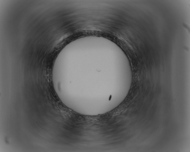 X0000098110870200804251425