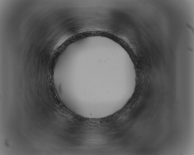 X0000098110871200804251425