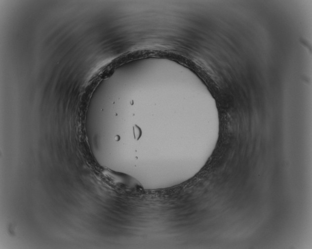 X0000098110872200804251425