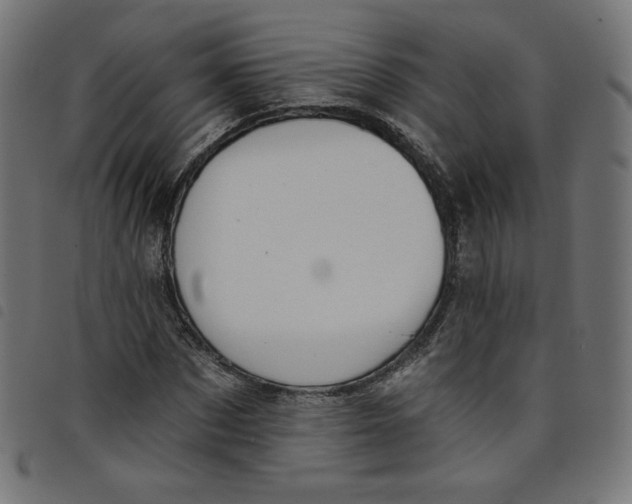 X0000098110873200804251425