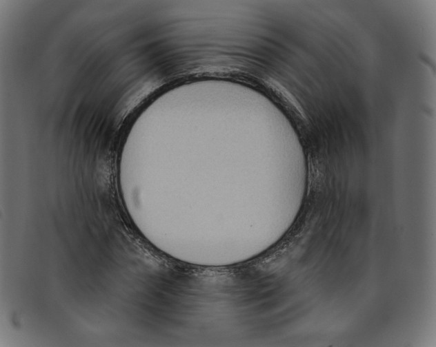 X0000098110874200804251425