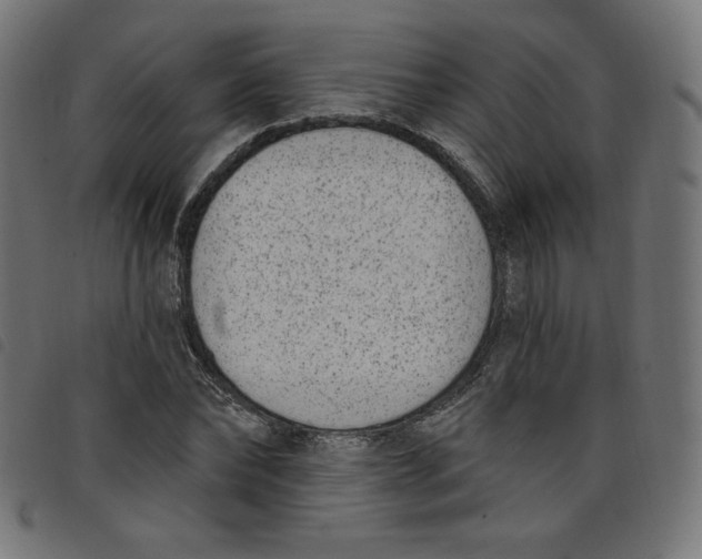 X0000098110878200804251425