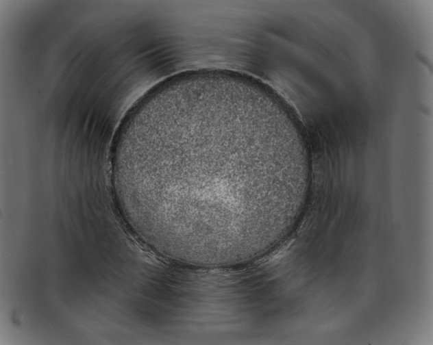 X0000098110879200804251425