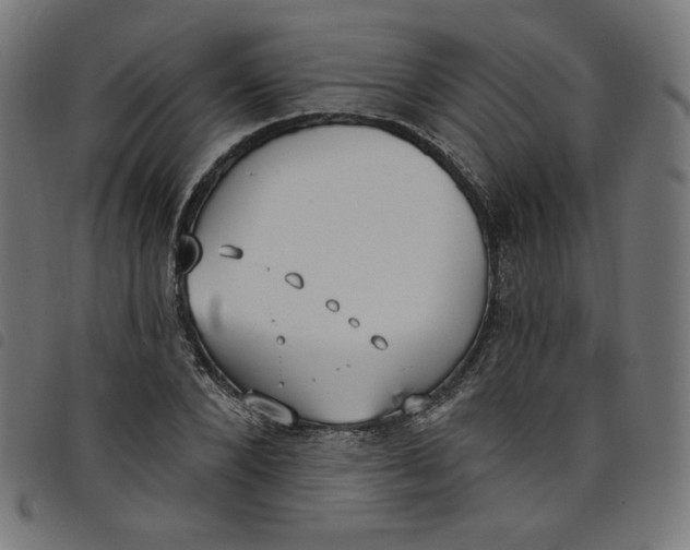 X0000098110880200804251425