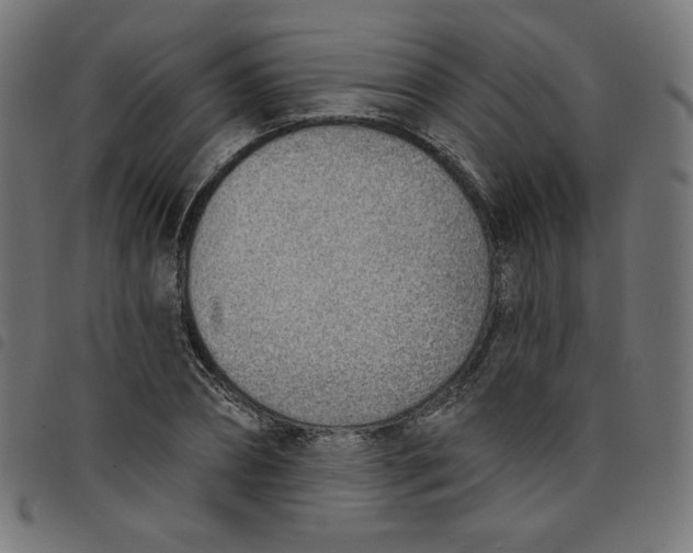 X0000098110882200804251425