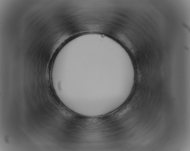 X0000098110883200804251425