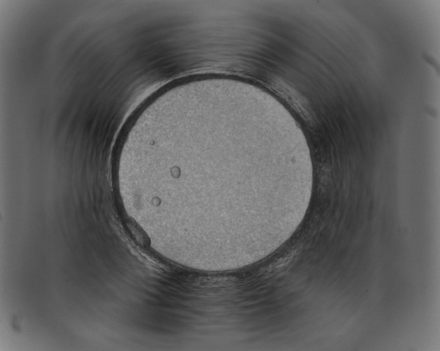 X0000098110884200804251425