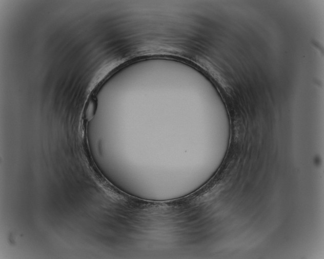 X0000098110885200804251425