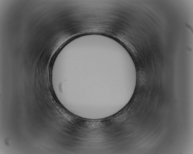 X0000098110886200804251425