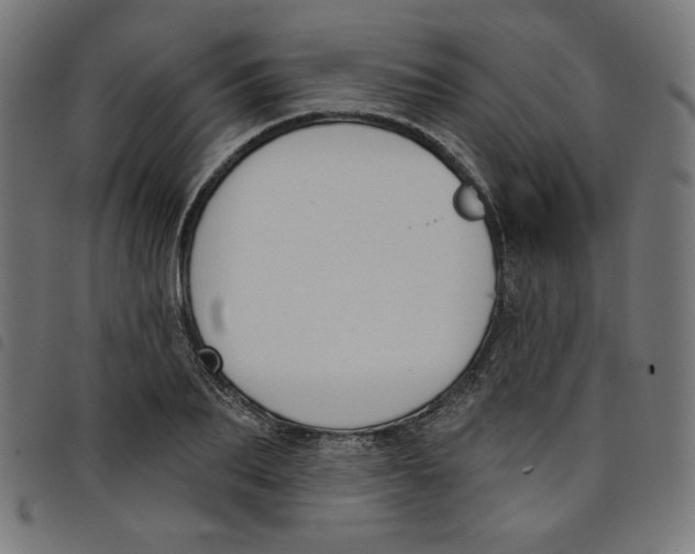 X0000098110887200804251425