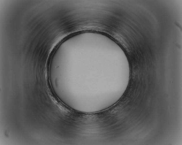 X0000098110888200804251425