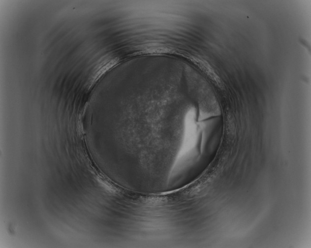 X0000098110889200804251425