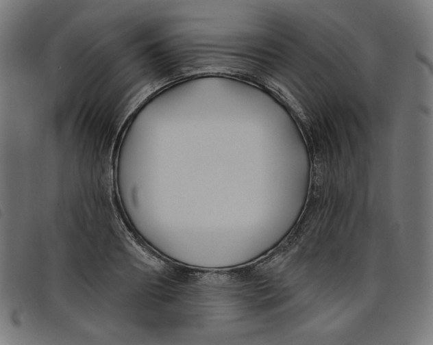 X0000098110890200804251425