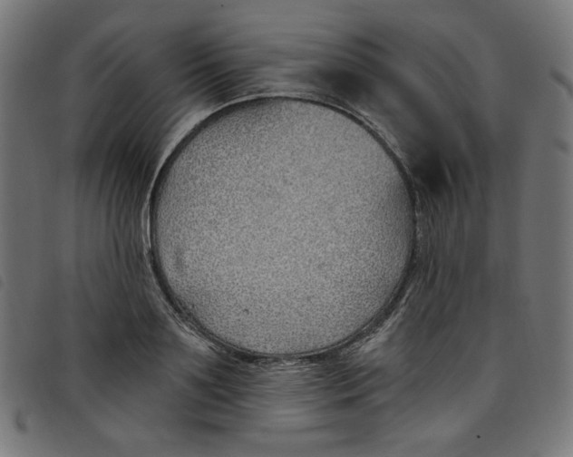 X0000098110891200804251425