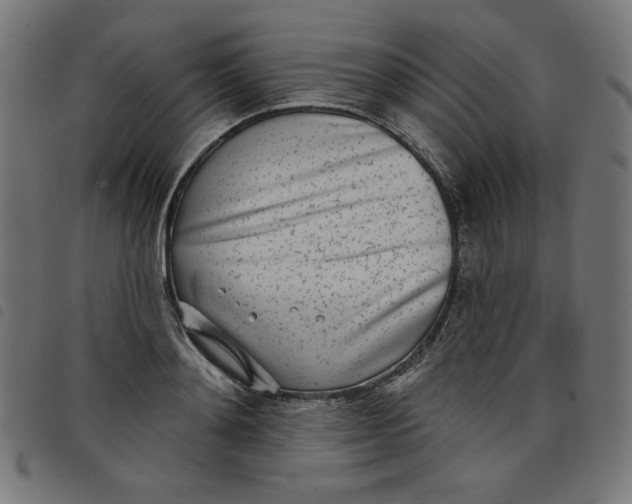 X0000098110892200804251425